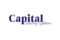 Capital Security Systems